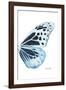 Miss Butterfly Melaneus - X-Ray Right White Edition-Philippe Hugonnard-Framed Photographic Print