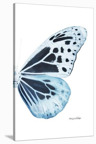 Miss Butterfly Melaneus - X-Ray Right White Edition-Philippe Hugonnard-Stretched Canvas