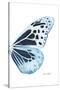 Miss Butterfly Melaneus - X-Ray Right White Edition-Philippe Hugonnard-Stretched Canvas