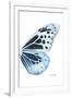 Miss Butterfly Melaneus - X-Ray Right White Edition-Philippe Hugonnard-Framed Premium Photographic Print