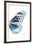 Miss Butterfly Melaneus - X-Ray Right White Edition-Philippe Hugonnard-Framed Premium Photographic Print