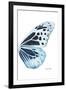 Miss Butterfly Melaneus - X-Ray Right White Edition-Philippe Hugonnard-Framed Premium Photographic Print