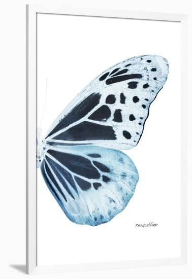 Miss Butterfly Melaneus - X-Ray Right White Edition-Philippe Hugonnard-Framed Photographic Print