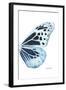 Miss Butterfly Melaneus - X-Ray Right White Edition-Philippe Hugonnard-Framed Photographic Print