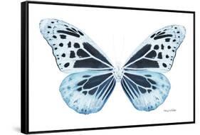 Miss Butterfly Melaneus - X-Ray White Edition-Philippe Hugonnard-Framed Stretched Canvas