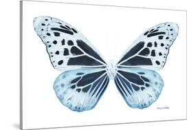 Miss Butterfly Melaneus - X-Ray White Edition-Philippe Hugonnard-Stretched Canvas