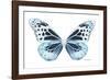 Miss Butterfly Melaneus - X-Ray White Edition-Philippe Hugonnard-Framed Photographic Print