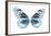 Miss Butterfly Melaneus - X-Ray White Edition-Philippe Hugonnard-Framed Photographic Print