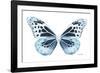 Miss Butterfly Melaneus - X-Ray White Edition-Philippe Hugonnard-Framed Photographic Print