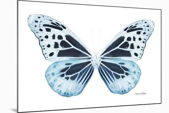 Miss Butterfly Melaneus - X-Ray White Edition-Philippe Hugonnard-Mounted Photographic Print