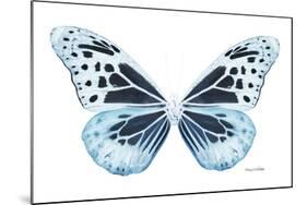 Miss Butterfly Melaneus - X-Ray White Edition-Philippe Hugonnard-Mounted Photographic Print