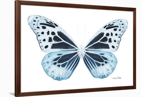 Miss Butterfly Melaneus - X-Ray White Edition-Philippe Hugonnard-Framed Photographic Print