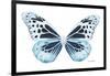 Miss Butterfly Melaneus - X-Ray White Edition-Philippe Hugonnard-Framed Photographic Print