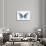 Miss Butterfly Melaneus - X-Ray White Edition-Philippe Hugonnard-Photographic Print displayed on a wall