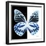 Miss Butterfly Prioneris Sq - X-Ray B&W Edition-Philippe Hugonnard-Framed Photographic Print