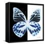 Miss Butterfly Prioneris Sq - X-Ray B&W Edition-Philippe Hugonnard-Framed Stretched Canvas