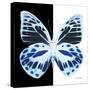 Miss Butterfly Prioneris Sq - X-Ray B&W Edition-Philippe Hugonnard-Stretched Canvas