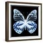 Miss Butterfly Prioneris Sq - X-Ray Black Edition-Philippe Hugonnard-Framed Photographic Print