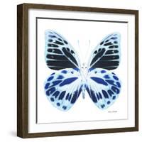 Miss Butterfly Prioneris Sq - X-Ray White Edition-Philippe Hugonnard-Framed Photographic Print