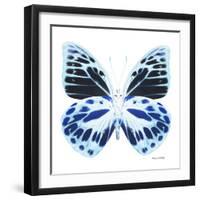 Miss Butterfly Prioneris Sq - X-Ray White Edition-Philippe Hugonnard-Framed Photographic Print