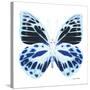 Miss Butterfly Prioneris Sq - X-Ray White Edition-Philippe Hugonnard-Stretched Canvas