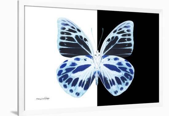 Miss Butterfly Prioneris - X-Ray B&W Edition-Philippe Hugonnard-Framed Photographic Print