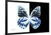 Miss Butterfly Prioneris - X-Ray B&W Edition-Philippe Hugonnard-Framed Photographic Print