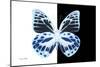 Miss Butterfly Prioneris - X-Ray B&W Edition-Philippe Hugonnard-Mounted Photographic Print