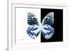 Miss Butterfly Prioneris - X-Ray B&W Edition-Philippe Hugonnard-Framed Photographic Print