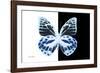 Miss Butterfly Prioneris - X-Ray B&W Edition-Philippe Hugonnard-Framed Photographic Print