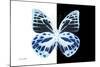 Miss Butterfly Prioneris - X-Ray B&W Edition-Philippe Hugonnard-Mounted Photographic Print
