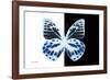 Miss Butterfly Prioneris - X-Ray B&W Edition-Philippe Hugonnard-Framed Photographic Print