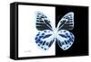 Miss Butterfly Prioneris - X-Ray B&W Edition-Philippe Hugonnard-Framed Stretched Canvas