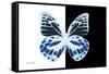 Miss Butterfly Prioneris - X-Ray B&W Edition-Philippe Hugonnard-Framed Stretched Canvas