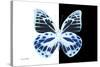 Miss Butterfly Prioneris - X-Ray B&W Edition-Philippe Hugonnard-Stretched Canvas