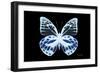 Miss Butterfly Prioneris - X-Ray Black Edition-Philippe Hugonnard-Framed Photographic Print