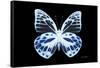 Miss Butterfly Prioneris - X-Ray Black Edition-Philippe Hugonnard-Framed Stretched Canvas