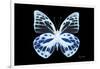 Miss Butterfly Prioneris - X-Ray Black Edition-Philippe Hugonnard-Framed Photographic Print