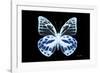 Miss Butterfly Prioneris - X-Ray Black Edition-Philippe Hugonnard-Framed Photographic Print