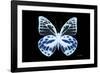 Miss Butterfly Prioneris - X-Ray Black Edition-Philippe Hugonnard-Framed Photographic Print