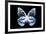 Miss Butterfly Prioneris - X-Ray Black Edition-Philippe Hugonnard-Framed Photographic Print