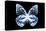 Miss Butterfly Prioneris - X-Ray Black Edition-Philippe Hugonnard-Stretched Canvas