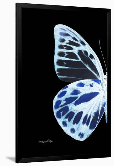 Miss Butterfly Prioneris - X-Ray Left Black Edition-Philippe Hugonnard-Framed Photographic Print