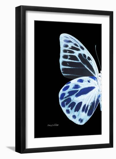 Miss Butterfly Prioneris - X-Ray Left Black Edition-Philippe Hugonnard-Framed Photographic Print