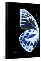 Miss Butterfly Prioneris - X-Ray Left Black Edition-Philippe Hugonnard-Framed Stretched Canvas