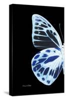 Miss Butterfly Prioneris - X-Ray Left Black Edition-Philippe Hugonnard-Stretched Canvas