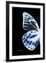 Miss Butterfly Prioneris - X-Ray Left Black Edition-Philippe Hugonnard-Framed Premium Photographic Print