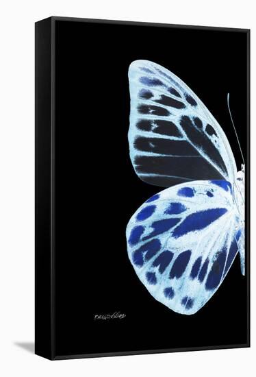 Miss Butterfly Prioneris - X-Ray Left Black Edition-Philippe Hugonnard-Framed Stretched Canvas