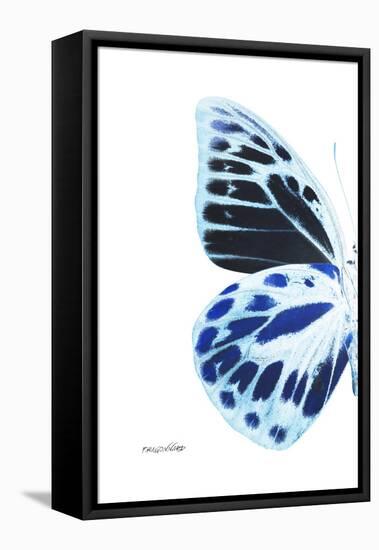 Miss Butterfly Prioneris - X-Ray Left White Edition-Philippe Hugonnard-Framed Stretched Canvas