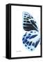 Miss Butterfly Prioneris - X-Ray Left White Edition-Philippe Hugonnard-Framed Stretched Canvas